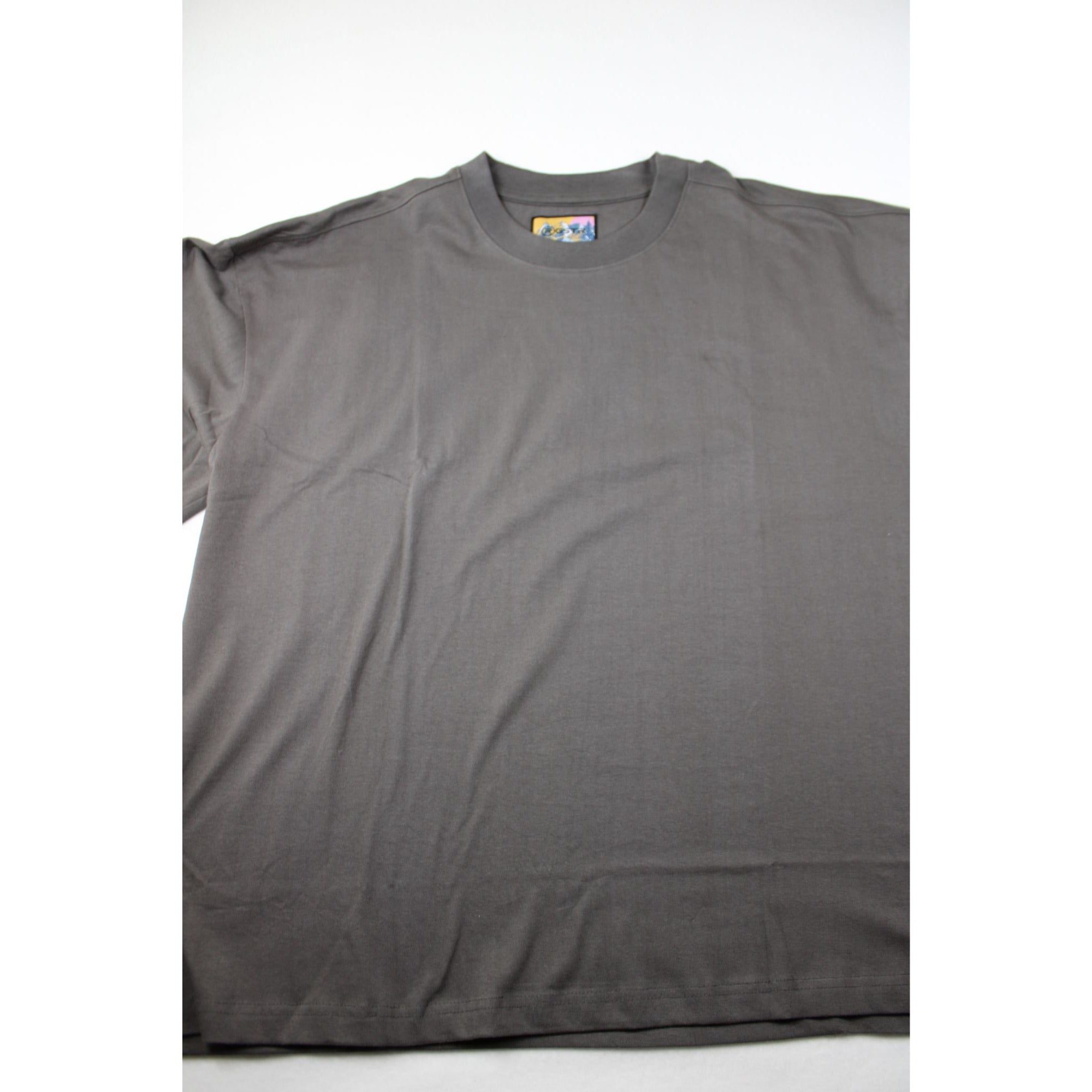 NWOT Relaxed Boxy Fit Gray T-Shirt By RGSTR 2X Cotton
