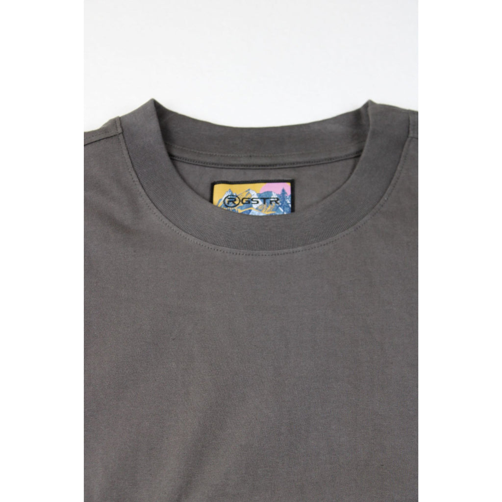 NWOT Relaxed Boxy Fit Gray T-Shirt By RGSTR 2X Cotton
